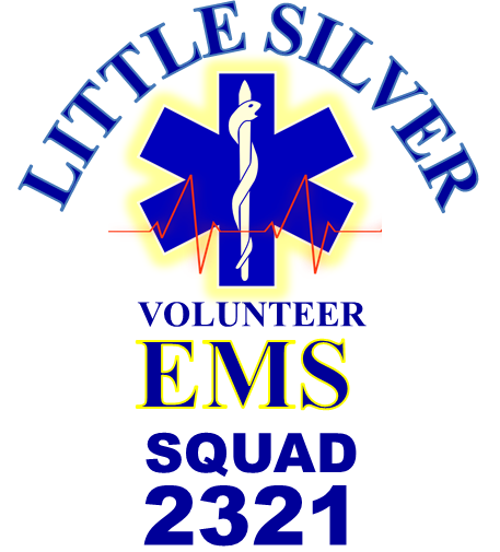 LS EMS Logo